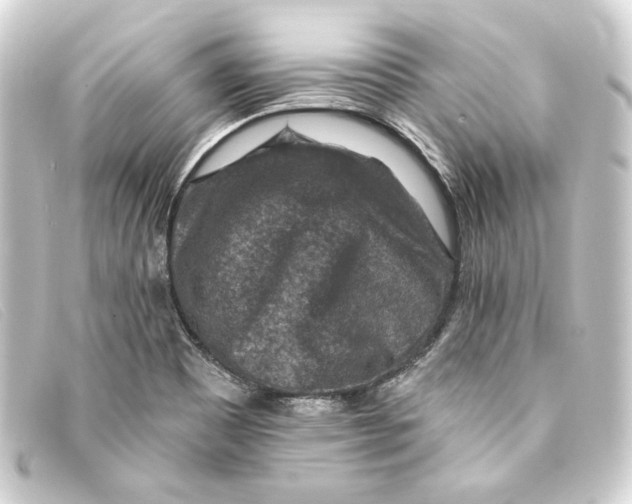 X0000093171465200710241030