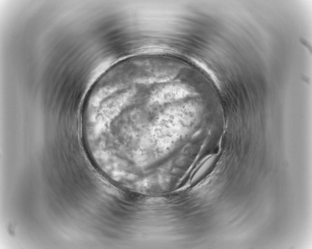 X0000093171467200710241030