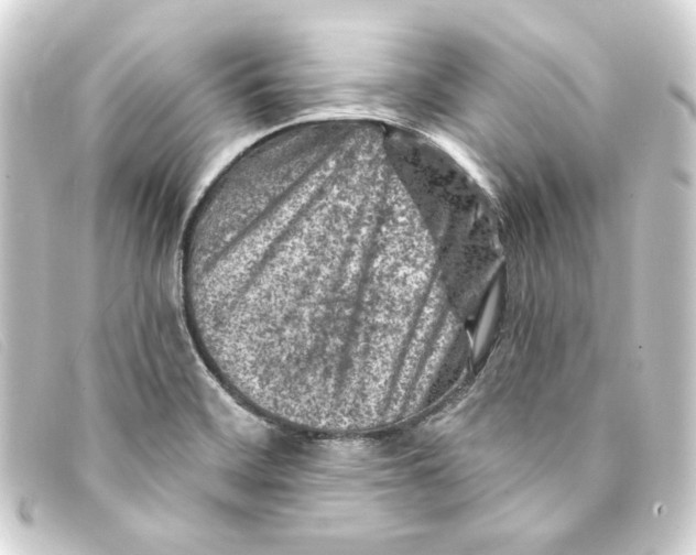 X0000093171468200710241030