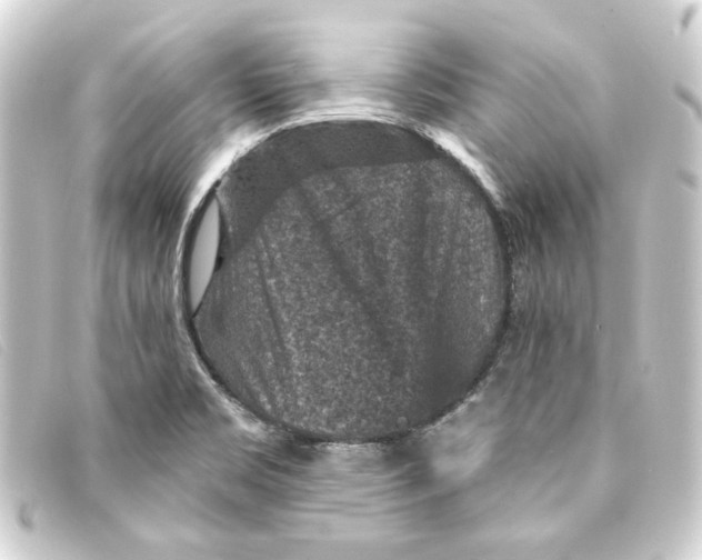 X0000093171469200710241030