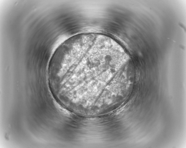 X0000093171471200710241030