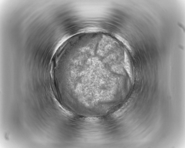 X0000093171473200710241030