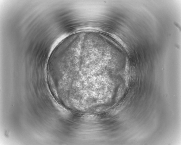 X0000093171474200710241030