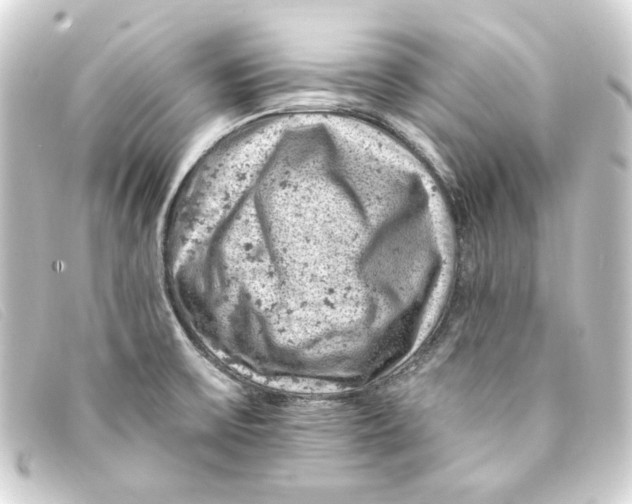 X0000093171475200710241030