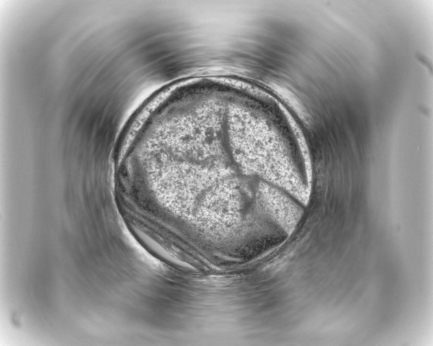 X0000093171476200710241030