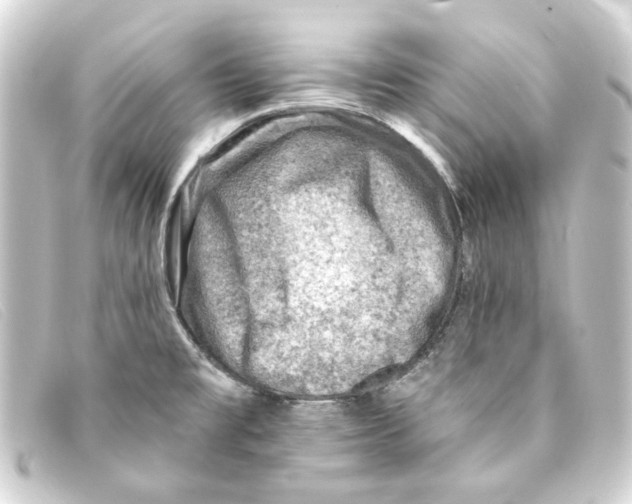 X0000093171477200710241029