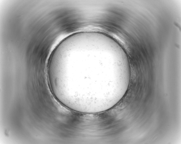 X0000093171478200710241029