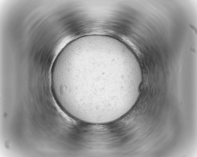 X0000093171479200710241029