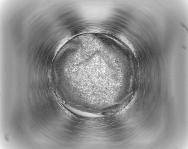 X0000093171481200710241029