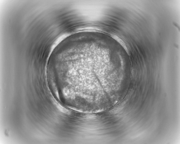 X0000093171482200710241029