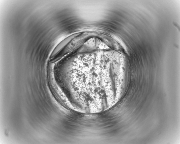 X0000093171483200710241029