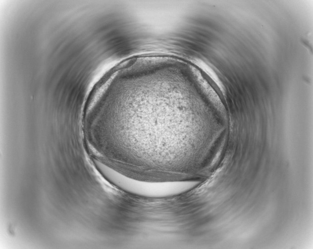 X0000093171485200710241029