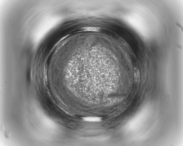 X0000093171487200710241029