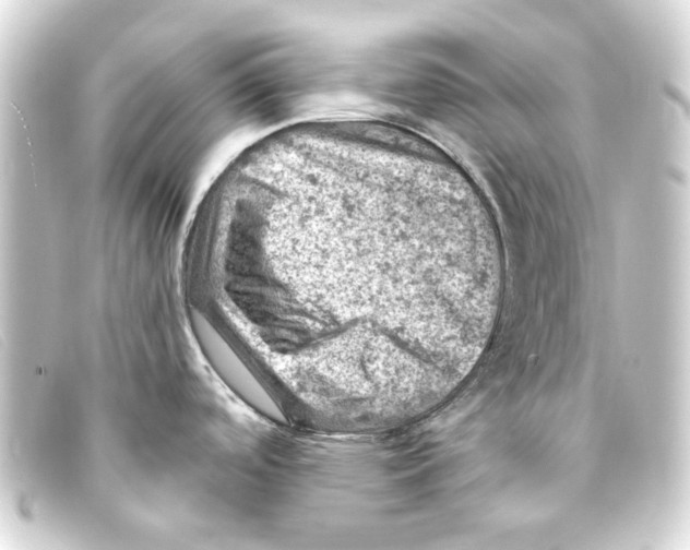 X0000093171488200710241029