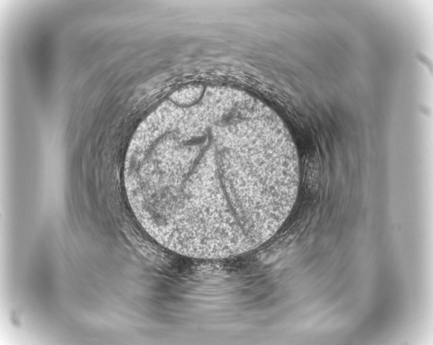 X0000093171489200710241029