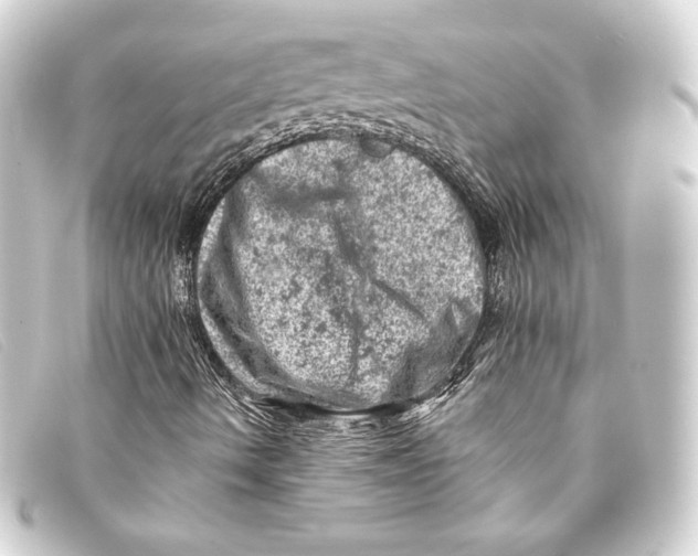 X0000093171490200710241029