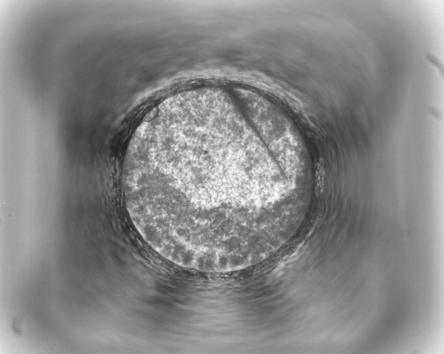 X0000093171494200710241029