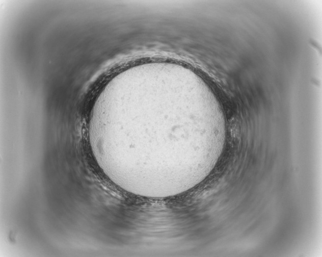 X0000093171495200710241029