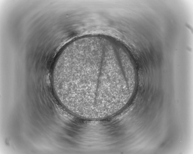 X0000093171497200710241029