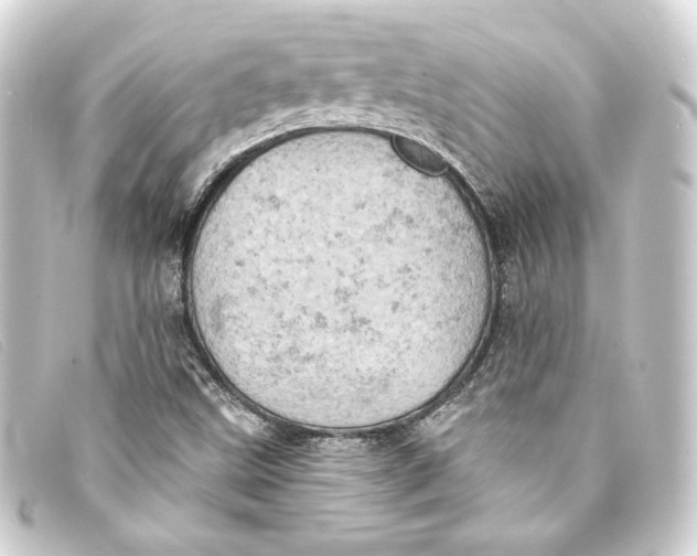 X0000093171499200710241029