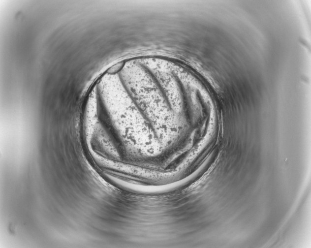 X0000093171500200710241029