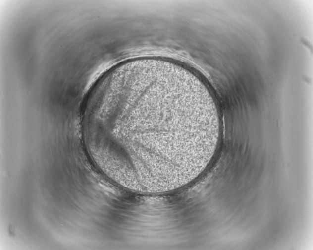 X0000093171501200710241029