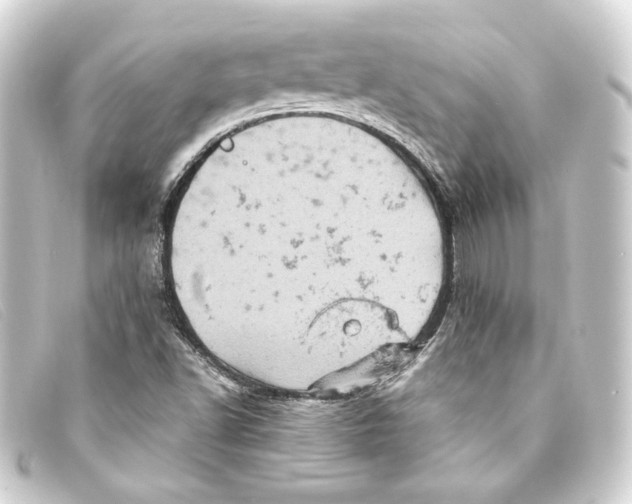 X0000093171502200710241029