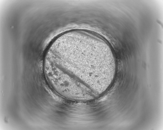 X0000093171503200710241029