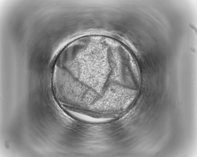 X0000093171504200710241029