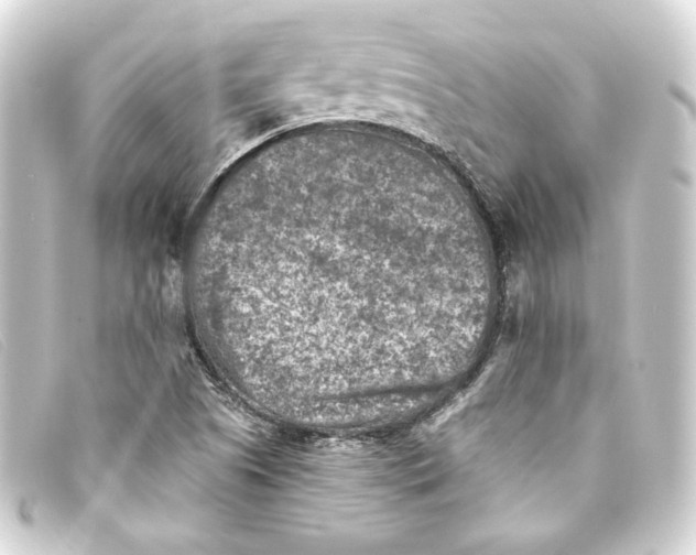 X0000093171505200710241029