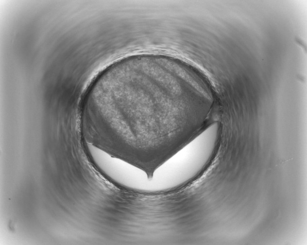 X0000093171506200710241029