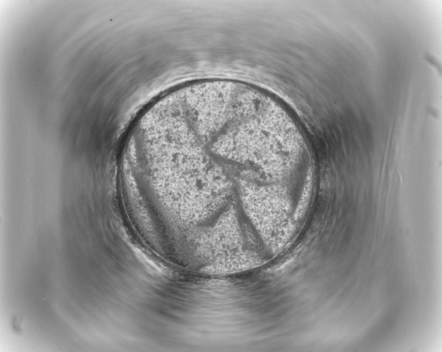 X0000093171507200710241029