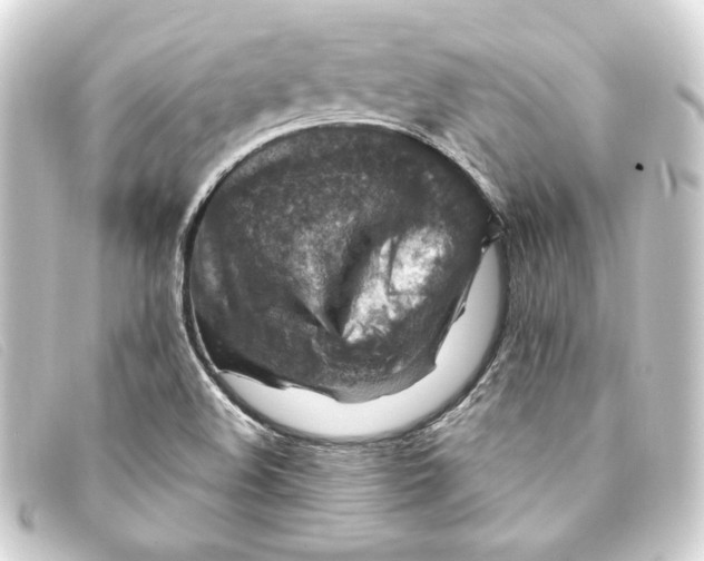 X0000093171508200710241029