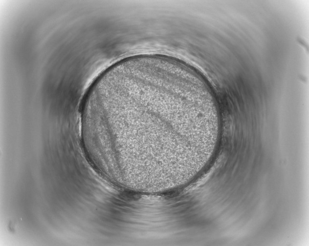 X0000093171509200710241029