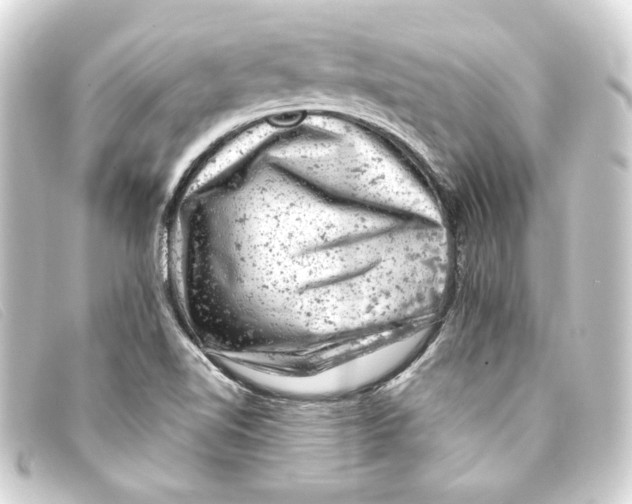 X0000093171510200710241029