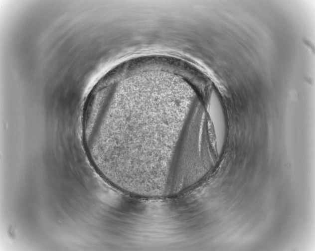 X0000093171512200710241029