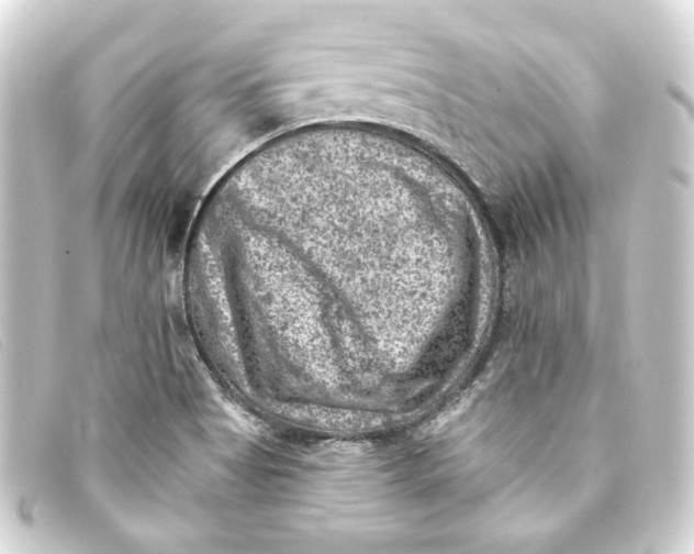 X0000093171513200710241029