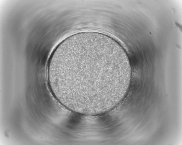 X0000093171514200710241029