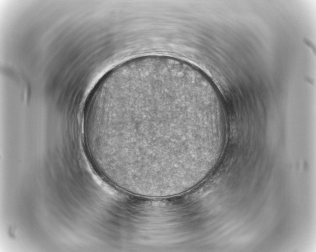 X0000093171515200710241029