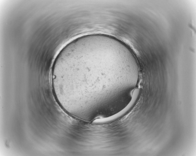 X0000093171516200710241029