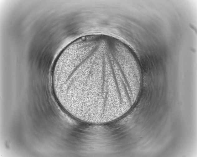 X0000093171517200710241029