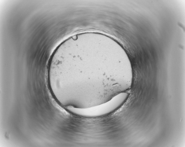 X0000093171518200710241029