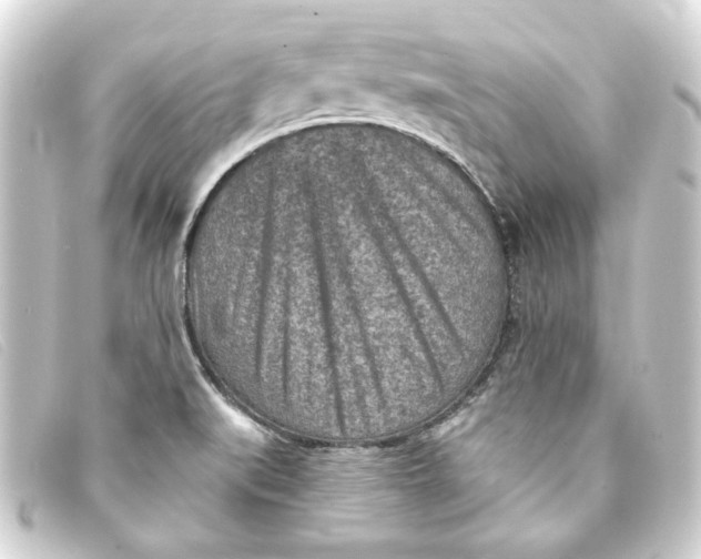 X0000093171519200710241029