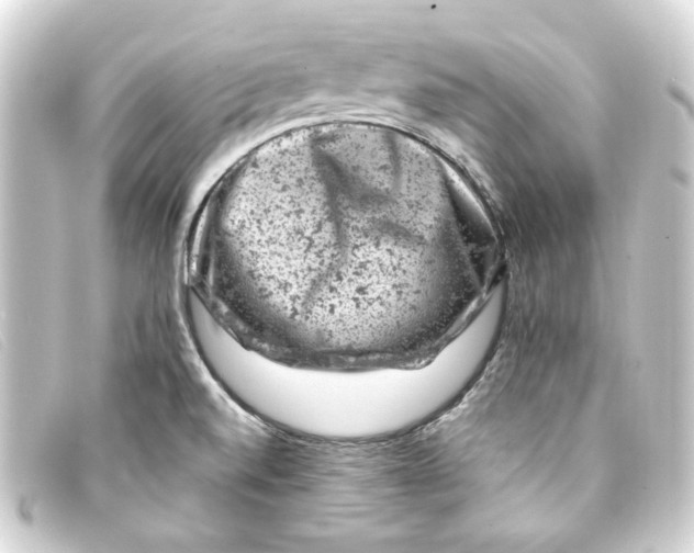 X0000093171520200710241029