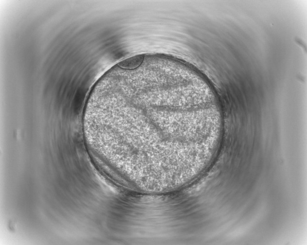 X0000093171521200710241029