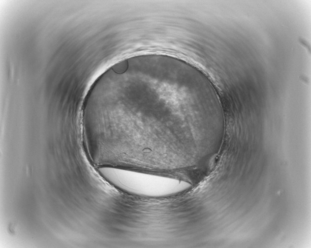 X0000093171522200710241029