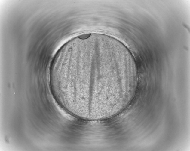 X0000093171523200710241029