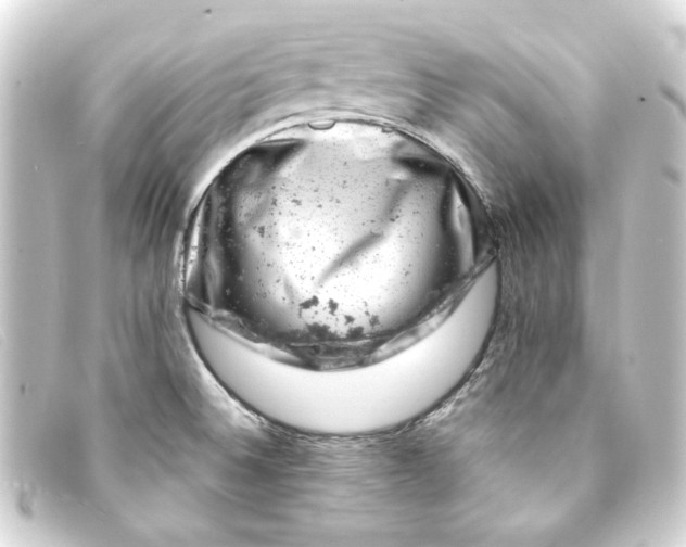 X0000093171524200710241029