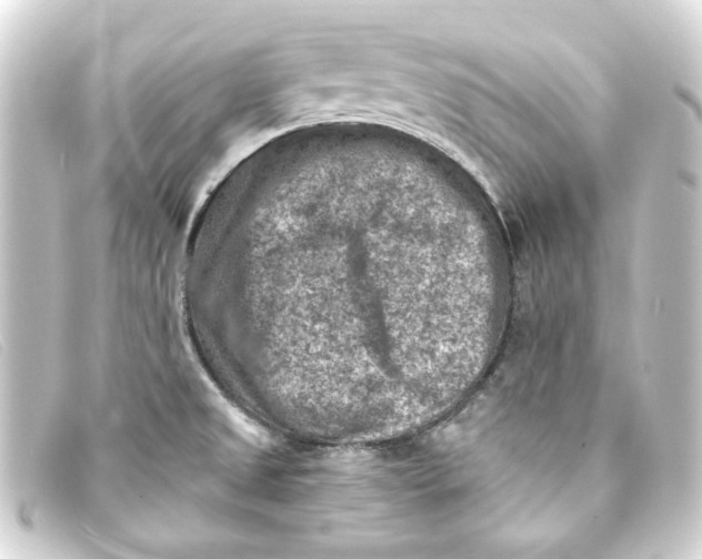 X0000093171525200710241029