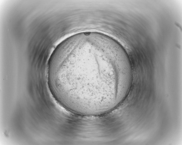 X0000093171526200710241029